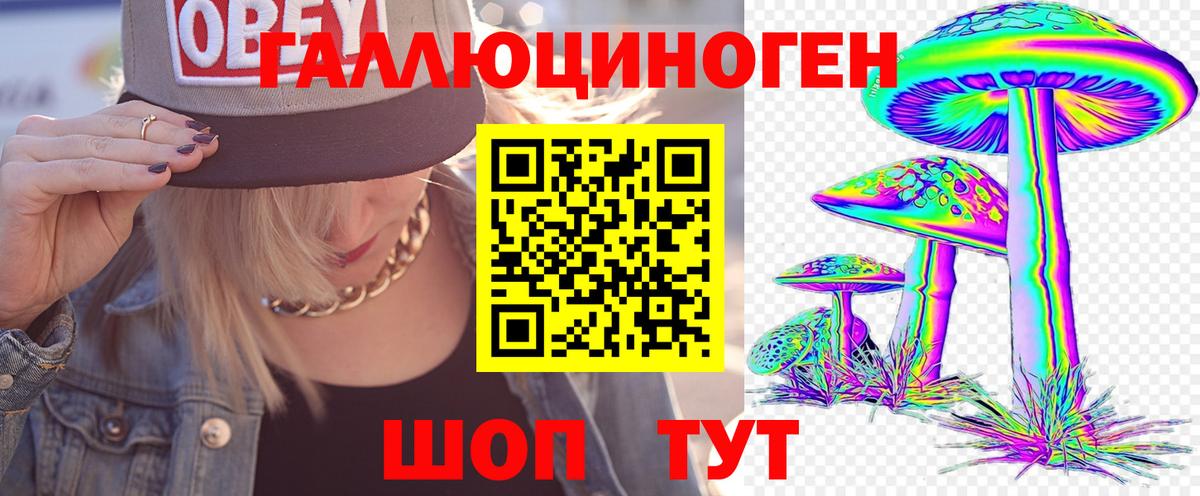 Галлюциногенные грибы Psilocybine cubensis Лосино-Петровский